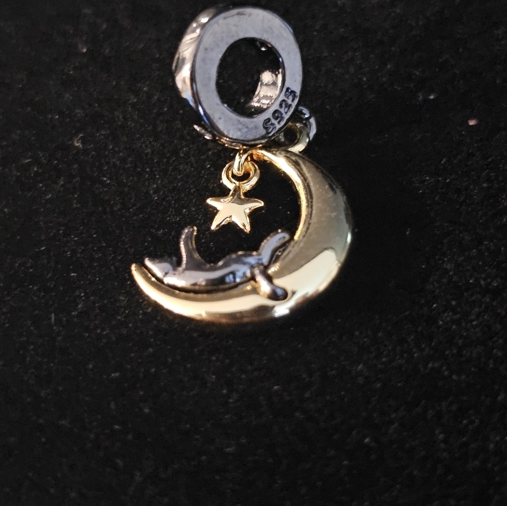Cat and Moon Sterling Silver Charm
